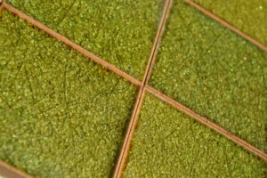 keramikplatten wandplatten céramique panneaux ceramic wall panels frischknecht ag